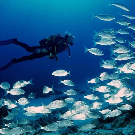 Con Espectaculares Vistas Al Mar * 卡拉法特